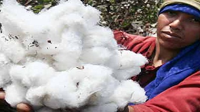 Chinas new policy could slowdown India Pakistan cotton sector