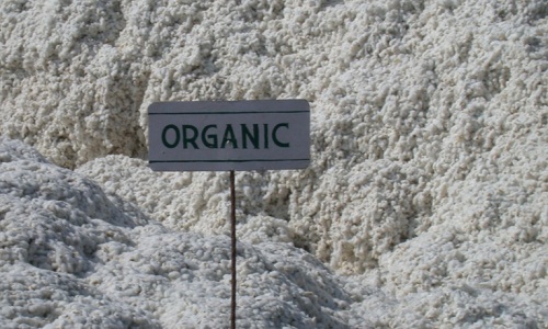 Cotton or organic cotton