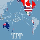 Discontinuation of TPP likely to harm ASEAN economy