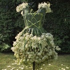 India China to emerge biggest markets for sustainable fashion by 2030