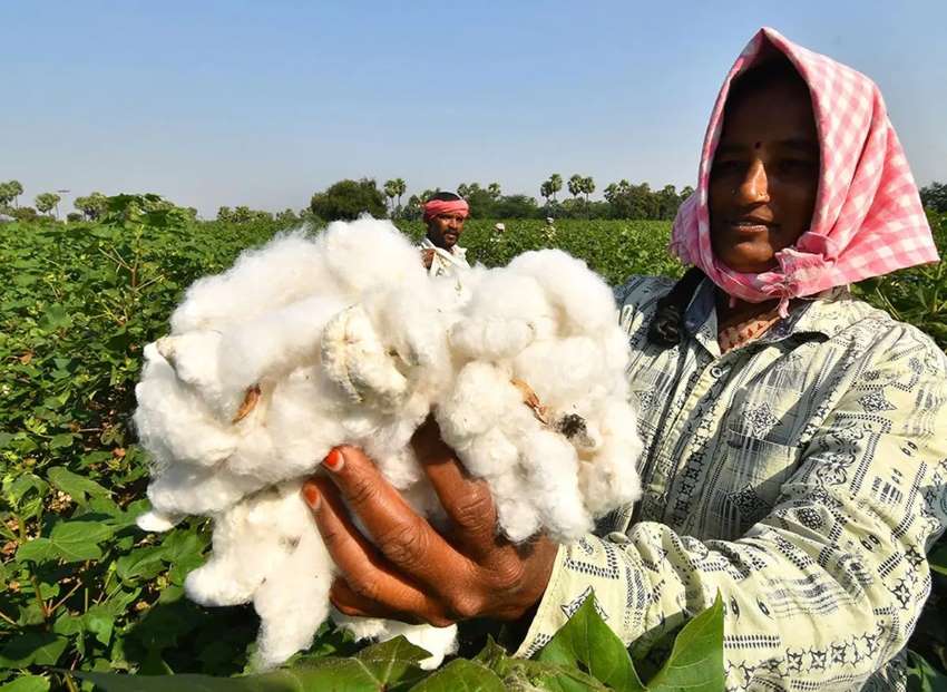 The Price of MSP: How India's cotton policy is leading to import dependency for mills