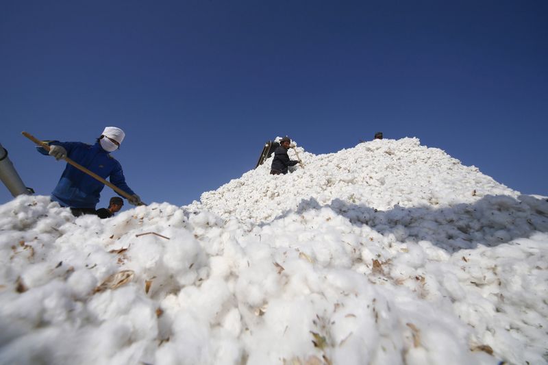 US Cotton: Shifting dynamics amidst reciprocal tariffs and quality advantages