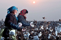 Pakistan needs to learn from Chinas Xinjiang Textile Park