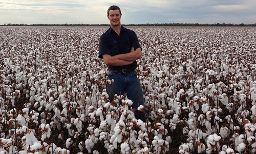 USDA ups the cotton