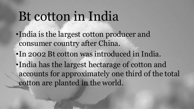 bt-cotton-18-638