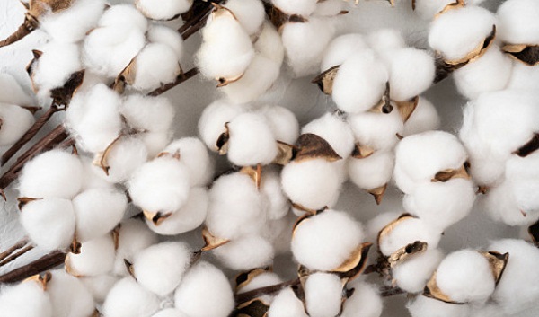 Allow duty free import of cotton urge Indian textile leaders