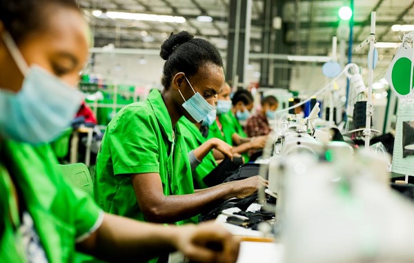 As global garment sector regains post pandemic cotton to lead as top fiber