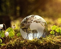 Behavioral changes, sustainable materials can help brands manage biodiversity