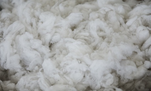 Despite increasing popularity growth in wool industry is an uphill task 001