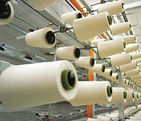 Indias cotton exports remain resilient with 75.71 increase