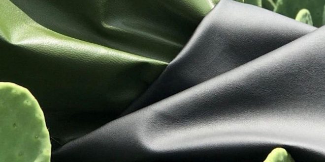 Plant-based materials to dominate A/W 2022-23 collections: Textile Intelligence