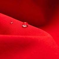 Sustainability pressures compel brands to relook raw material