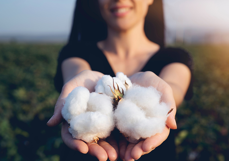Sustainable cotton