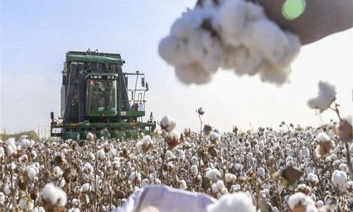 Trendspotting 2019 Blockchain Technology revolutionises the global cotton market 002