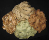 Colored cotton makes its way into the Turkey market