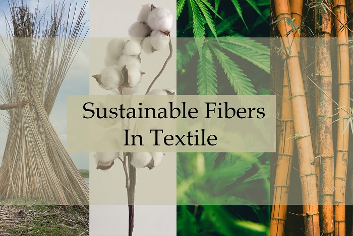 Embracing Innovation: The rise of sustainable fibers in a changing world