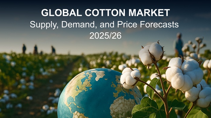 Cotton markets hold firm as tariffs, higher supply reshape global fiber economics