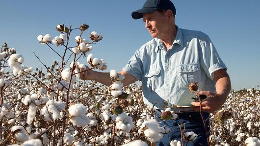 Good quality makes US cotton a strong global player