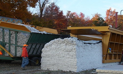 cotton-harvesting