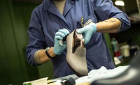 Make in India fuels revival of leather and chemical