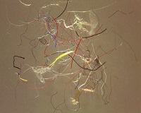 Microfibers both natural and synthetic emerge top global pollutants 001