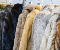 Shift from real to fake fur is it sustainable