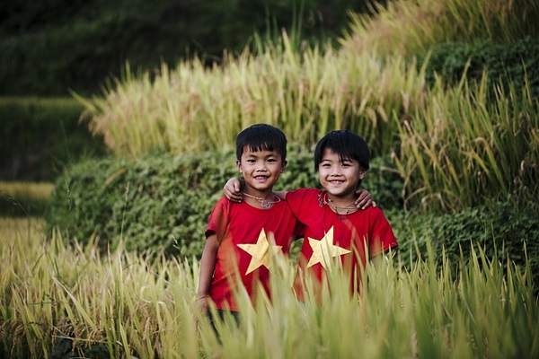 Vietnam Textile and Garments Q4