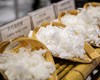 Yarn Expo Autumn 2019 to offer solutions for all sourcing